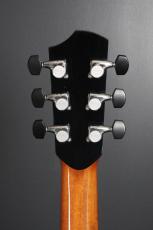 Peggy White PREMIER Cutaway_8