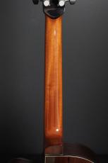 Peggy White PREMIER Cutaway_9