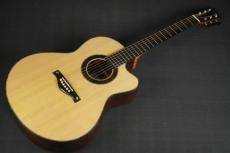 Peggy White PREMIER Cutaway_10