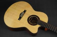 Peggy White PREMIER Cutaway_11