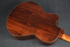 Peggy White PREMIER Cutaway_14