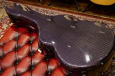 Peggy White PREMIER Cutaway_17