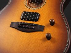 Fender Acoustasonic Standard Telecaster ~Honey Burst~_6