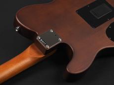 Fender Acoustasonic Standard Telecaster ~Honey Burst~_11