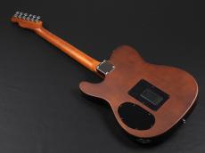 Fender Acoustasonic Standard Telecaster ~Honey Burst~_12