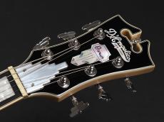 D'Angelico Premier Brighton ~Black Flake~_3