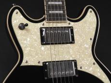 D'Angelico Premier Brighton ~Black Flake~_4