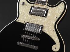 D'Angelico Premier Brighton ~Black Flake~_5
