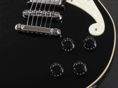 D'Angelico Premier Brighton ~Black Flake~_6