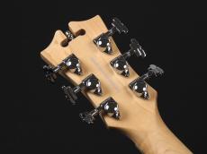 D'Angelico Premier Brighton ~Black Flake~_9