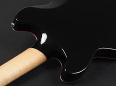 D'Angelico Premier Brighton ~Black Flake~_11