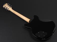 D'Angelico Premier Brighton ~Black Flake~_12