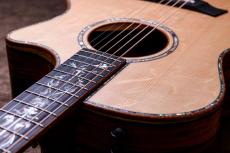 Taylor 【4/30迄の限定特価!】CTM GA Cocobolo × Bear Claw Spruce Top_2