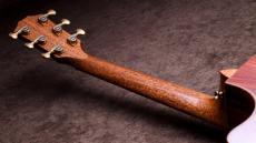 Taylor 【4/30迄の限定特価!】CTM GA Cocobolo × Bear Claw Spruce Top_13