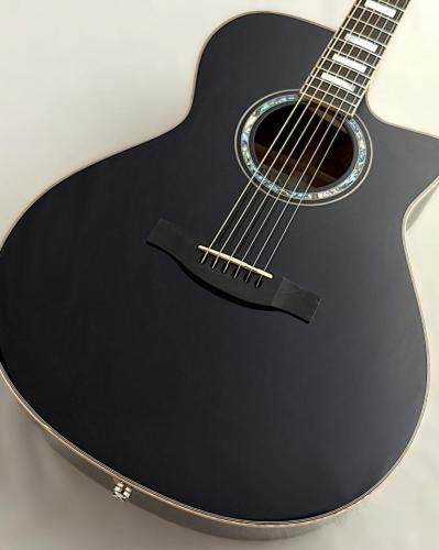 Morris R-18 Midnight Ocean【魅惑の美外観と良サウンド!】【プレゼントキャンペーン実施中!】