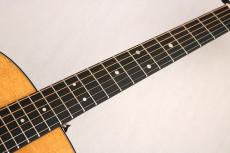 Martin 【プレゼントキャンペーン実施中!】D-10E Retro #3035899【大注目の新モデル!】【Martinを検討の方必見】_5