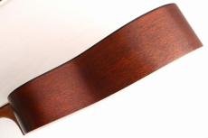 Martin 【プレゼントキャンペーン実施中!】D-10E Retro #3035899【大注目の新モデル!】【Martinを検討の方必見】_13