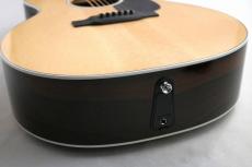 Martin 【プレゼントキャンペーン実施中!】GPC-13E Ziricote #2996852 【美木目】【エレアコ】_15