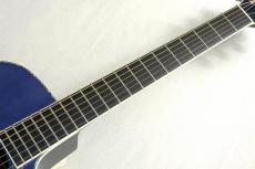 Morris CTM R-15K SBG #2506003【クロサワ楽器限定カスタムオーダー】【プレゼントキャンペーン実施中!!】_5