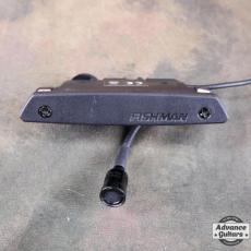 FISHMAN Rere Earth Blend