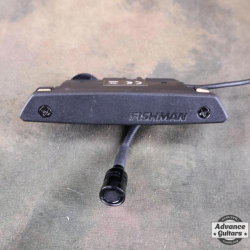 FISHMAN Rere Earth Blend