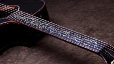 Taylor 【4/30迄の限定特価!】CTM GA Sinkaer Redwood × Flame Maple_6