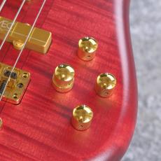 Warwick Custom Shop Streamer StageⅠ 4st - Burgandy Red - 【4.00Kg】【#C164161-25】_4