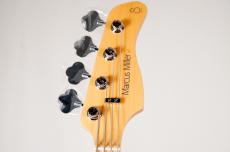 Sire V7 Ash-4 Reissue -Transparent Black Satin- [4.80kg]_11