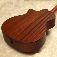 Taylor 314ce　ES-2_6