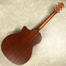 Taylor 314ce　ES-2_7