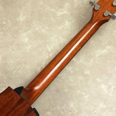 Taylor 314ce　ES-2_8