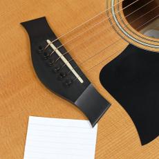 Taylor 314ce　ES-2_10