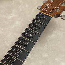 Taylor 314ce　ES-2_11