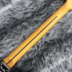 Fender Made in Japan Hybrid II 2026 Collection Stratocaster Matte Champagne Mirage_8