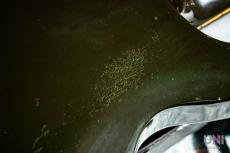 Gibson Les Paul Standard Double Cut Plus Emerald Green / 2004_8