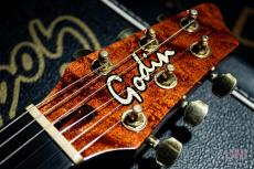 Godin LGX_3