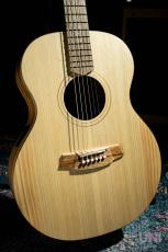 Cole Clark CCAN1E-BM