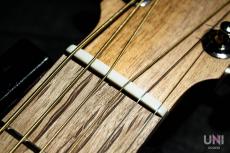 Cole Clark CCAN1E-BM_4