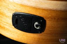 Cole Clark CCAN1E-BM_5