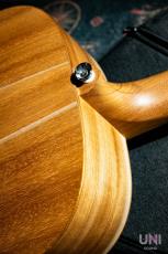 Cole Clark CCAN1E-BM_6