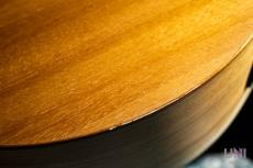 Cole Clark CCAN1E-BM_8