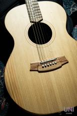 Cole Clark CCAN1E-BM_10