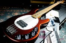 MUSIC MAN StingRay Special H