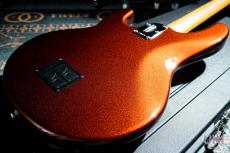 MUSIC MAN StingRay Special H_10