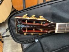 Aria Dreadnought ADL-935 オール単板 ニューヨーカーモデル　スロテッドヘッド_3