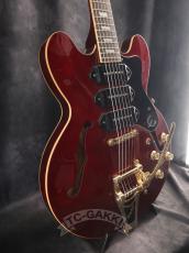 Epiphone 2012 RIVIERA Custom P-93_4