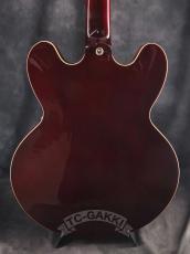 Epiphone 2012 RIVIERA Custom P-93_5