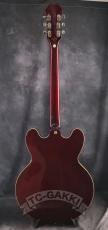 Epiphone 2012 RIVIERA Custom P-93_6