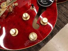 Epiphone 2012 RIVIERA Custom P-93_13