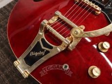 Epiphone 2012 RIVIERA Custom P-93_14
